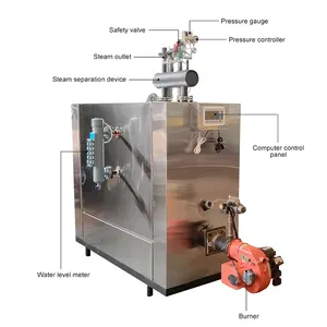EPCB High Efficiency Professional Gas Steam Boiler Machine Steam Generator Manufacturer