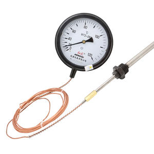 Termómetro de Contacto Eléctrico HONGQI WTQ-288 con Sonda de 500 mm de Acero Inoxidable y Alarma de Alta Temperatura - Product Image 1