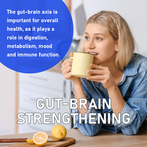 Oem Probiotic Capsules Maintain A Healthy Digestive System Support Helps Maintain Energy Immune Balance Wellnes 60 Capsules - Product Image 6