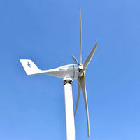 Éolienne horizontale à roue libre, générateur d'énergie libre, Windrad 800w 1000w, onduleur d'énergie éolienne, batterie au lithium hybride 600w