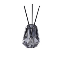 Bouteilles de diffuseur à roseaux vides, rechargeables, écologiques, sans BPA, sans alcool, en verre, pour huiles essentielles, DIY, cadeau de Noël, maison