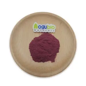 Estratto di semi d'uva 95% OPC biologico Sowder di semi d'uva puro