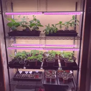 T8 pink full spectrum uv ir led grow light tube 12w t5 led veg grow tube light per la coltivazione di piante idroponiche in serra da interno