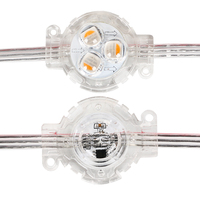 Luces LED de Píxeles RGBW UCS2904 de 30 mm para Parques Temáticos Navideños, Luces Puntuales Impermeables para Exteriores IP68
