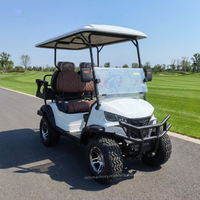 Anpassbarer Elektro-Golfwagen mit Windschutzscheibe, Heckspoiler, neuem Lenkrad, Touristen-Sightseeing-Fahrzeug