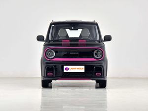 New Energy Minicar Geely PANDA Karting EV Micro <span class=keywords><strong>Car</strong></span> <span class=keywords><strong>2</strong></span> asientos Mano izquierda Drive Sporty Mini <span class=keywords><strong>Car</strong></span> China Top Best Seller - Product Image 4