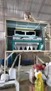 Máquina clasificadora de color de semillas de girasol agrícola óptica y máquina clasificadora de color de semillas de calabaza de WENYAO