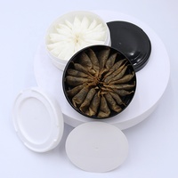 Sachets de nicotine sachets de snus cannette de snus emballage plastique