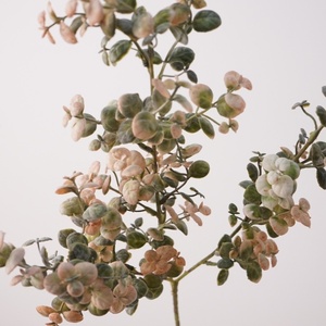 สเปรย์ยูคาลิปตัสประดิษฐ์ขนาดเล็กสีชมพูตกแต่งด้วย<span class=keywords><strong>ใบ</strong></span>ไม้สีทองและหยก - Product Image 4