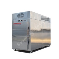 Réfrigérateur mortuaire à double chambre SYSMEDICAL STG2H, congélateur pour corps, à vendre
