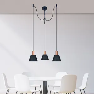 Designer Dining Room Pendant Lighting Modern Chandelier Hanging Black Metal Pendant Light For Small Living Room