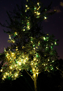 <span class=keywords><strong>Guirlande</strong></span> lumineuse de Noël <span class=keywords><strong>Guirlande</strong></span> d'étoiles Décoration d'arbre Lumière de mariage d'Halloween - Product Image 5