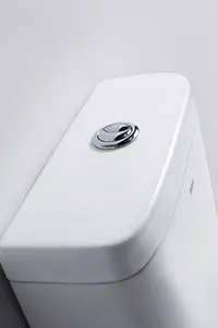 Bắc Mỹ cupc giấy chứng nhận tiêu chuẩn Bán buôn giá S-trap 300 mét thô trong tuôn ra kéo dài siphonic một mảnh nhà vệ sinh - Product Image 5