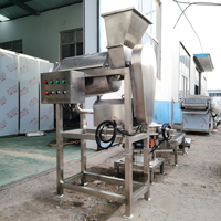 Fruitverwerkingsmachine, fruitjam productielijn, fruitjam maaklijn, kleine jamverwerkingsmachine