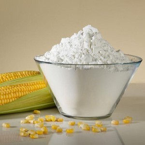 Corn Starch <strong>Processing</strong> <strong>Plant</strong>