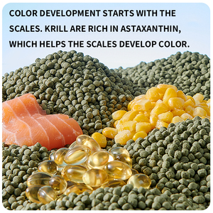 Yee nhà máy bán buôn cá cảnh Cá Koi thức ăn thức ăn cá vàng tăng cường màu sắc thức ăn cá koi giàu protein và dinh dưỡng cao - Product Image 4