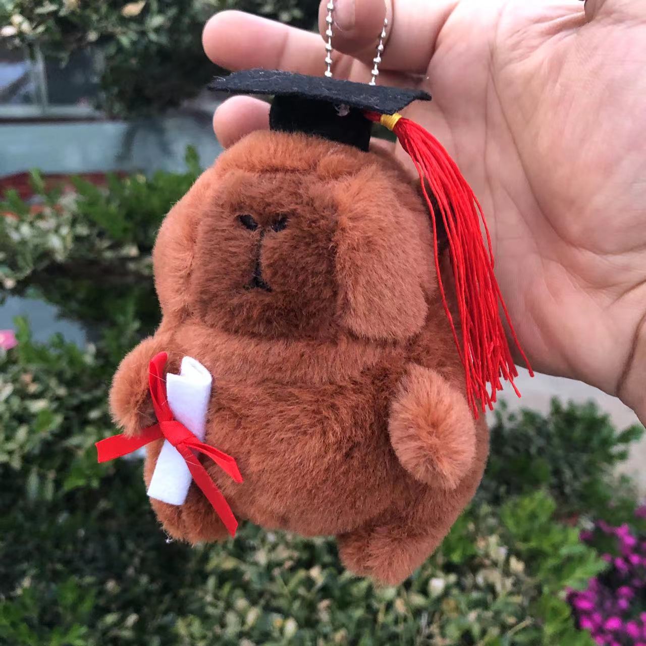 Dr. brown's edition