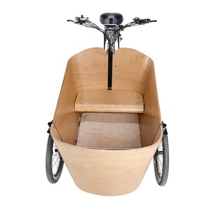 Nouveau tricycle adulte à <span class=keywords><strong>assistance</strong></span> <span class=keywords><strong>électrique</strong></span> confortable <span class=keywords><strong>avec</strong></span> boîte à bagages ouverte 3 roues - Product Image 3