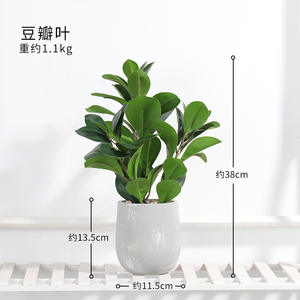 บ้านสุดสร้างสรรค์ของตกแต่งบนพื้นโต๊ะกระถางซีเมนต์รูปเต่าใบไม้สีเขียวจำลองทำจากพลาสติกสำหรับตกแต่งบ้าน - Product Image 6