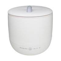 Mini cuiseur à riz 300W, capacité 1,6-1,8L, pour 1-3 personnes, multifonction, commande tactile, solaire, USB, revêtement antiadhésif, tasse doseuse