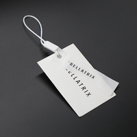 Vêtement de luxe personnalisé balançoire étiquettes vêtements étiquette imprimer nom Logo étiquette volante en plastique avec ficelle papier étiquettes volantes pour vêtements propre Logo