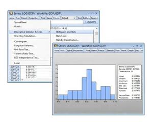 Envoyer un lien de téléchargement du logiciel de traitement des données de séries temporelles pour EViews 13 pour Windows, destiné aux grandes organisations. - Product Image 6