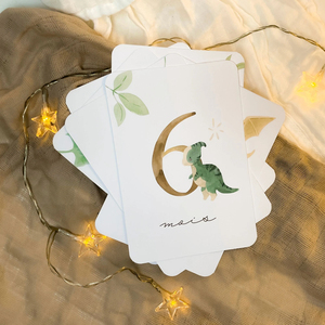 Baby's <strong>First</strong> Year Step <strong>Cards</strong> Baby Step <strong>Card</strong> - Product Image 5