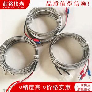 Salt Inscription Thermocouple Type K Surface Mount Wire Leads Temperature Sensor Customizable Specification - Product Image 5