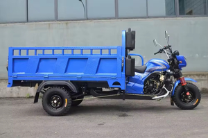 Tricycle motorisé à essence 200CC à carrosserie ouverte pour le transport de marchandises et l'agriculture, 36V, 50-70Km/h - Product Image 4
