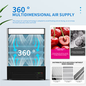 <span class=keywords><strong>ตู้</strong></span>ม่านอากาศเย็นหลายชั้นแสดง<span class=keywords><strong>โฆษณา</strong></span> R290 LED 110V ได้รับการรับรองจาก US ETL - Product Image 3