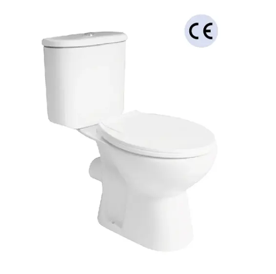 Chine Fabricant Washdown Floorstanding 2PC toilette de placard d'eau