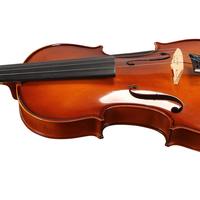Violon d'étude en épicéa massif, vente en gros d'usine, idéal pour les examens de musique, avec accessoires