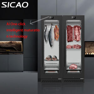 Réfrigérateur de maturation de viande SICAO Commercial Beef Hanging Smart Meat Dri Dry Ager, congélateur de présentation, équipement de cuisine, <span class=keywords><strong>armoire</strong></span> - Product Image 6