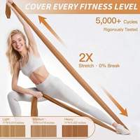 Ensemble de Pilates Écologique Personnalisable avec Logo, Incluant Anneau, Ballon et Bandes de Résistance pour Marques E-commerce, Fitness à Domicile et Vente au Détail