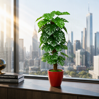 Plante artificielle Guanyin en pot, verdure décorative d'intérieur pour salon et entrée, ornement d'arbre artificiel pour hôtel et club