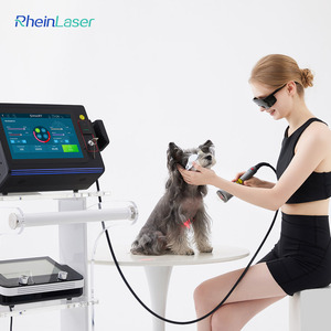 Thông minh Ice Class 4 điều trị bằng <span class=keywords><strong>laser</strong></span> thú y <span class=keywords><strong>Laser</strong></span> vật lý trị liệu thiết bị cho giảm đau và chấn thương phục hồi - Product Image 3