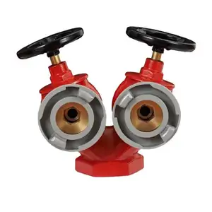 Supplier Export 2 1/2 inch Fire Protection Ductile Cast Iron Cabinet SNSS65 System Double-outlet Fire Hydrant Valve