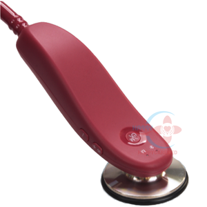 Estetoscopio digital veterinario HC-R180 recién lanzado para perros y gatos, para uso veterinario, a buen precio. - Product Image 3