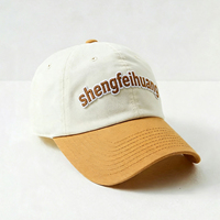 Gorra de Béisbol Deportiva de Algodón Duradera con Logotipo Bordado en 3D Personalizado, Diseño Único de Dos Tonos, Venta al por Mayor OEM ODM, para Regalo de Fiesta
