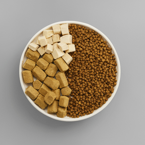 Nhà Máy Bán buôn số lượng lớn hạt miễn phí thịt tươi protein cao khỏe mạnh hương vị khác nhau khô mèo thực phẩm - Product Image 2