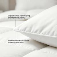 Couette Xueruisha toutes saisons en duvet d'oie blanc 95 %, écologique, garnissage 500 g, chaleur toute l'année, respirante, douce, en coton soyeux