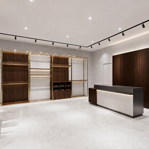 <span class=keywords><strong>Porte</strong></span>-vêtements mural en <span class=keywords><strong>bois</strong></span> grainé avec cadre doré, présentoir de vêtements avec rangement, stand de présentation pour magasin de détail commercial, présentoir métallique pour boutique - Product Image 2