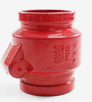 Clapet anti-retour à extrémité rainurée en fonte ductile DN100 4 pouces PN16 pour système d'alimentation en eau d'incendie - Usine OEM HONGAN