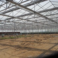 Serre en verre haut de gamme avec système hydroponique intelligent pour la culture de produits agricoles