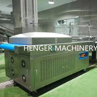 Industriële Voedsel Vacuüm Verpakking Machine Met Volledige Verpakking Lijn