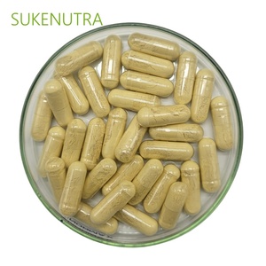 Chiết Xuất Từ Nấm Polysaccharide 30% Coriolus Versicolor Tự Nhiên - Product Image 4