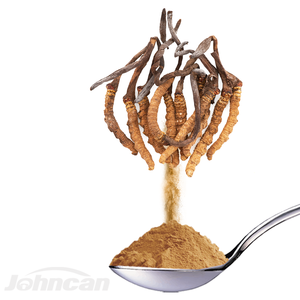 고품질 유기농 건강 제품 파실로미세스 헤피알리 균사체 추출물 동충하초 버섯 가루 - Product Image 3