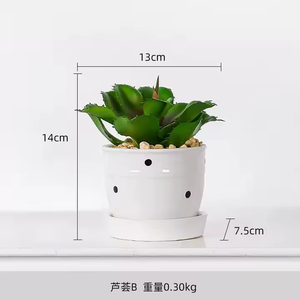 Plantes succulentes artificielles décoratives de <span class=keywords><strong>cactus</strong></span> petites plantes artificielles en pot VP-HL006 - Product Image 6