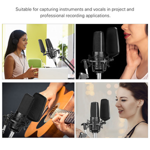 BOYA BY-M1000 Large Diaphragm Condenser Capsule Microphone for Singer Podcasting Artist Studio Mic - Product Image 6