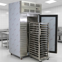 Congélateur cryogénique à plaque à dégivrage automatique -80°C -40°C, équipement de congélation rapide pour poissons et viandes